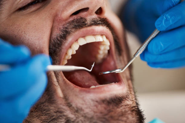 Best Orthodontic Emergency Dentist in Farmers Loop, AK