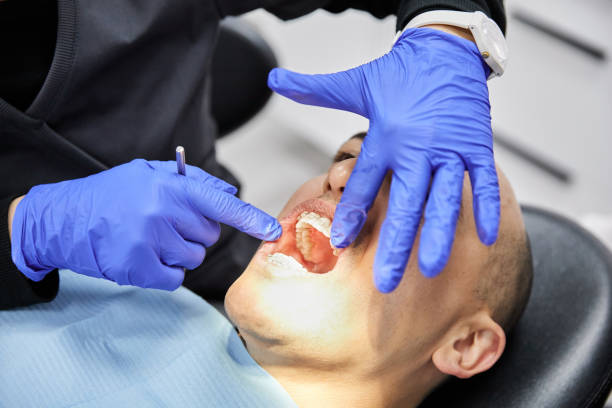 Best Emergency Dental Services for Seniors in Farmers Loop, AK